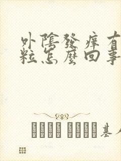 外阴发痒有小颗粒怎么回事