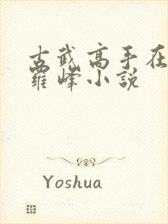 古武高手在都市罗峰小说