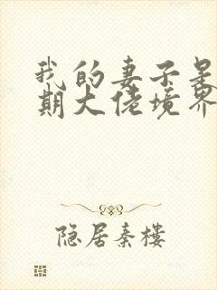 我的妻子是大乘期大佬境界等级