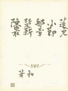 陈楚那小莲小说最新章节免费阅读