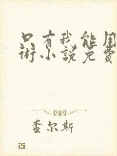 只有我能用召唤术小说免费