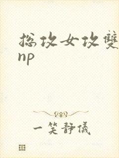 总攻女攻双性受np