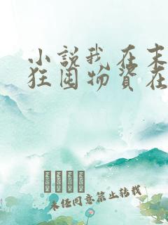 小说我在末世疯狂囤物资在线观看