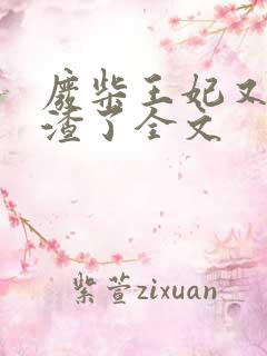 废柴王妃又在虐渣了全文