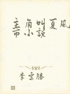 主角叫夏风的都市小说