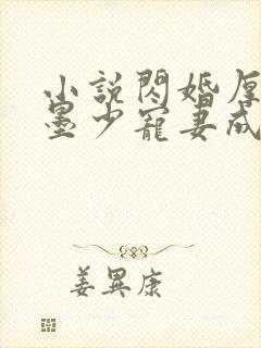 小说闪婚厚爱:墨少宠妻成瘾