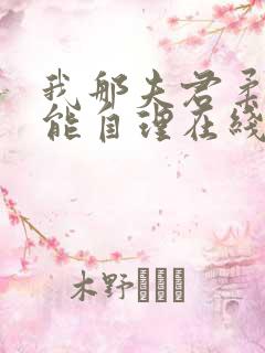 我那夫君柔弱不能自理在线阅读