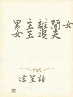 男主离开女主,女主追夫