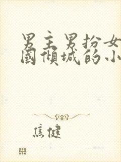 男主男扮女装倾国倾城的小说