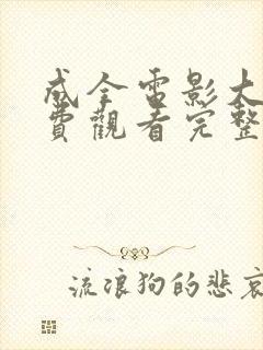 成全电影大全免费观看完整版国语