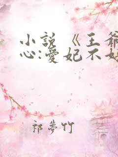 小说 《王爷当心:爱妃不好惹》