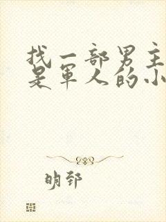 找一部男主姓叶是军人的小说