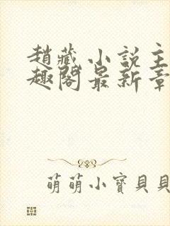 赵藏小说主角笔趣阁最新章节更新