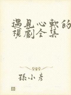 遇见心软的神电视剧全集