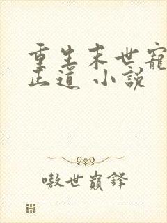 重生末世宠妻是正道 小说