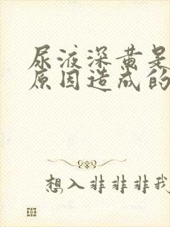 尿液深黄是什么原因造成的