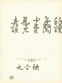 去见少年的你小说免费阅读