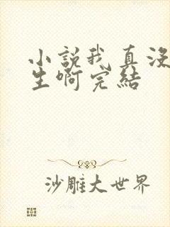 小说我真没想重生啊完结