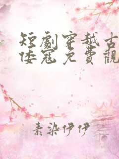 短剧穿越古代干倭寇免费观看