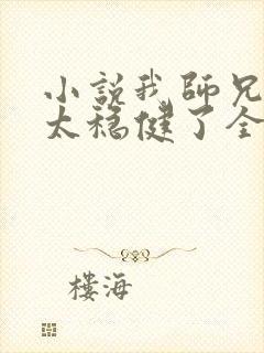 小说我师兄实在太稳健了全文