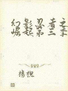 幻影忍者之神龙崛起第三季