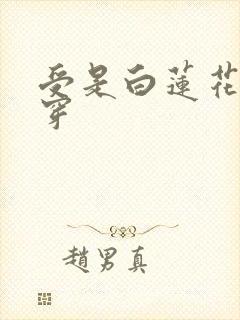 受是白莲花的快穿