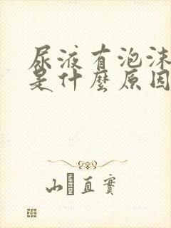 尿液有泡沫不散是什么原因