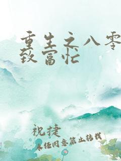 重生之八零佳妻致富忙