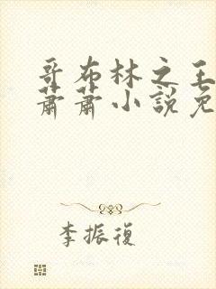 哥布林之王北风萧萧小说免费阅读