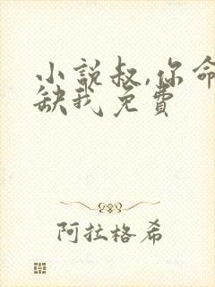 小说叔,你命中缺我免费
