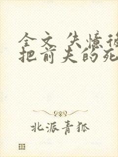 全文 失忆后错把前夫的死对头当老公