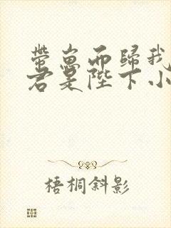 带崽而归我的夫君是陛下小说