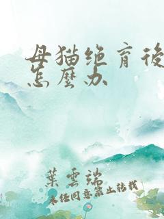 母猫绝育后乱尿怎么办