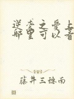 逆袭之爱上情敌哪里可以看