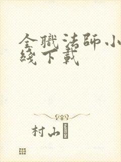 全职法师小说在线下载