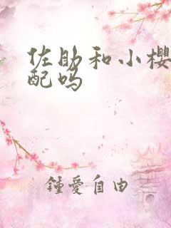 佐助和小樱是官配吗