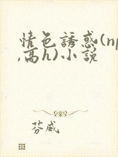 情色诱惑(np,高h)小说