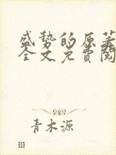 盛势的原著小说全文免费阅读