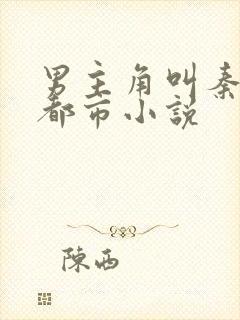 男主角叫秦墨的都市小说