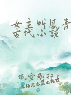 女主叫凤青鸾的古代小说