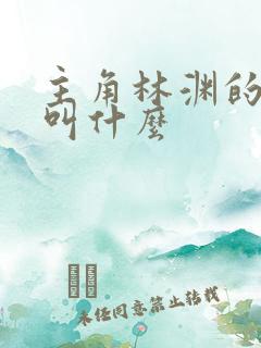 主角林渊的小说叫什么