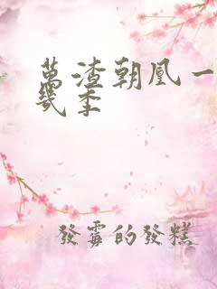 万渣朝凰一共有几季