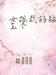 女总裁的贴身兵王个