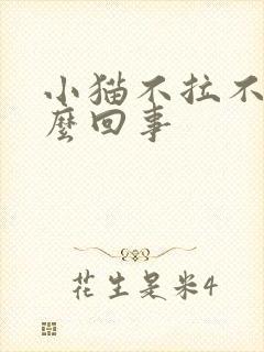 小猫不拉不尿怎么回事