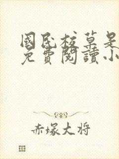 国民校草是女生免费阅读小说