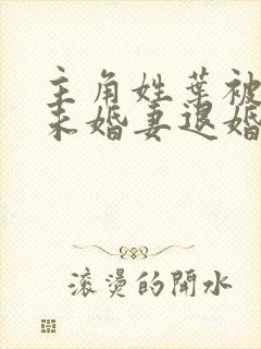 主角姓叶被九个未婚妻退婚