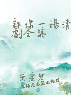 许你一场清欢短剧全集