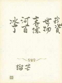 冰河末世我囤积了百亿物资无弹窗