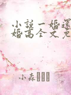 小说一婚还比一婚高全文免费阅读晨雾的光
