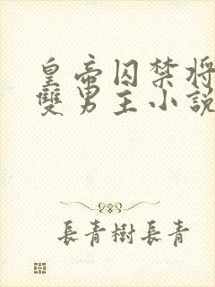 皇帝囚禁将军的双男主小说